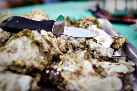 OYSTER